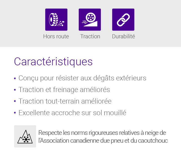 Maniabilité,Freinage,Durabilité