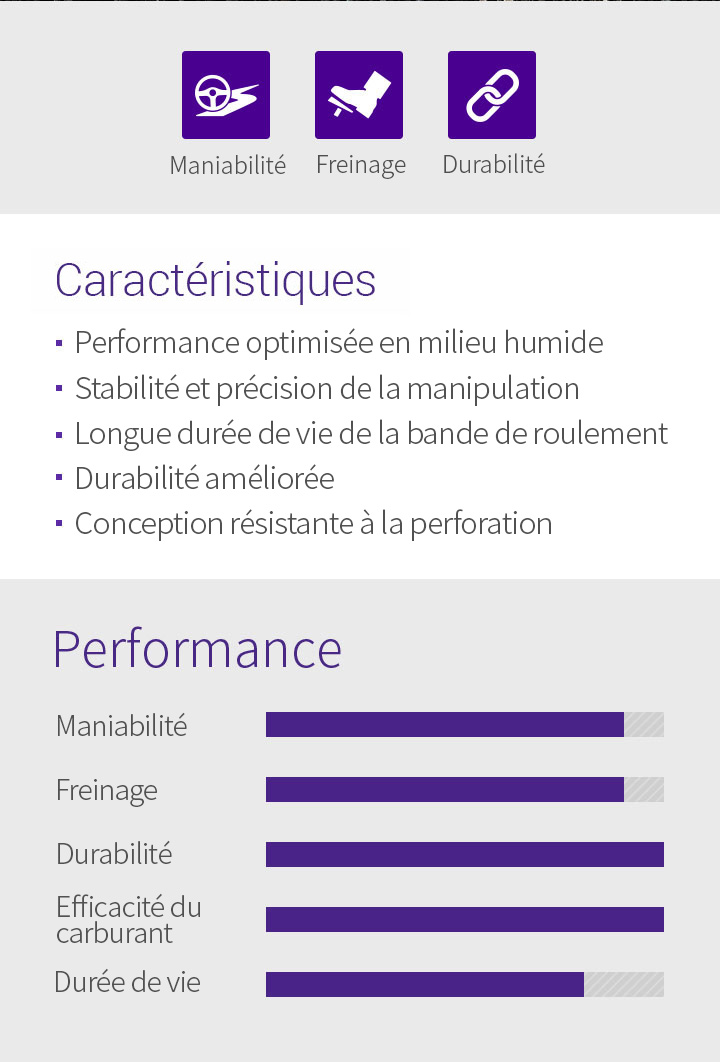 Maniabilité, Freinage, Durabilité, Caractéristiques - 1.Performance optimisée en milieu humide, 2.Stabilité et précision de la manipulation, 3.Longue durée de vie de la bande de roulement, 4.Durabilité améliorée, 5.Conception résistante à la perforation