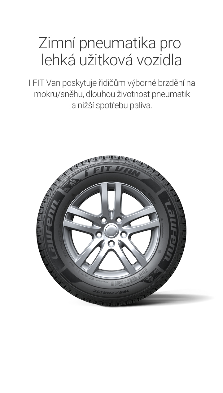 Zimní pneumatika pro lehká užitková vozidla
