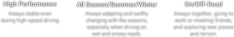 High Performance - Always stable even during high-speed driving , All Season/Summer/Winter - Always adapting and swiftly changing with the seasons, especially when driving on wet and snowy roads. , On/Off-Road - Always together, going to work or meeting friends, and exploring new places and terrain.