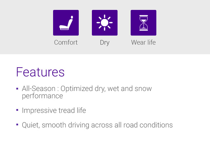 Wet, Wear Life, Dry, Features - 1.Summer : Optimised dry, wet performance, 2.Impressive tread life, 3.Quiet, smooth driving across all road conditions