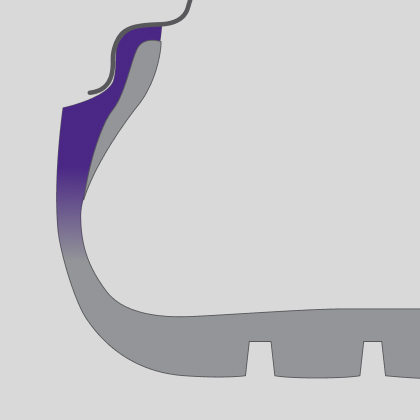 Tire Rim Protector Illustration