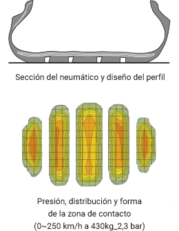 txt_tier4_detail_01_01