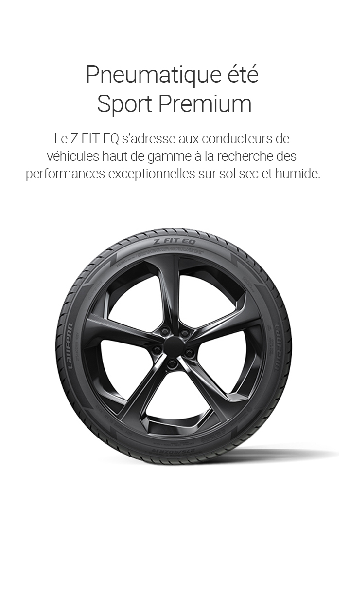 Pneumatique été Sport Premium