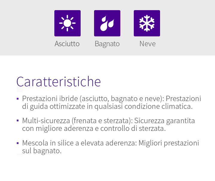 Asciutto, Bagnato, Neve, Features - 1.Prestazioni ibride (asciutto, bagnato e neve): Prestazioni di guida ottimizzate in qualsiasi condizione climatica, 2.Multi-sicurezza (frenata e sterzata): Sicurezza garantita con migliore aderenza e controllo di sterzata, 3.Mescola in silice a elevata aderenza: Migliori prestazioni sul bagnato