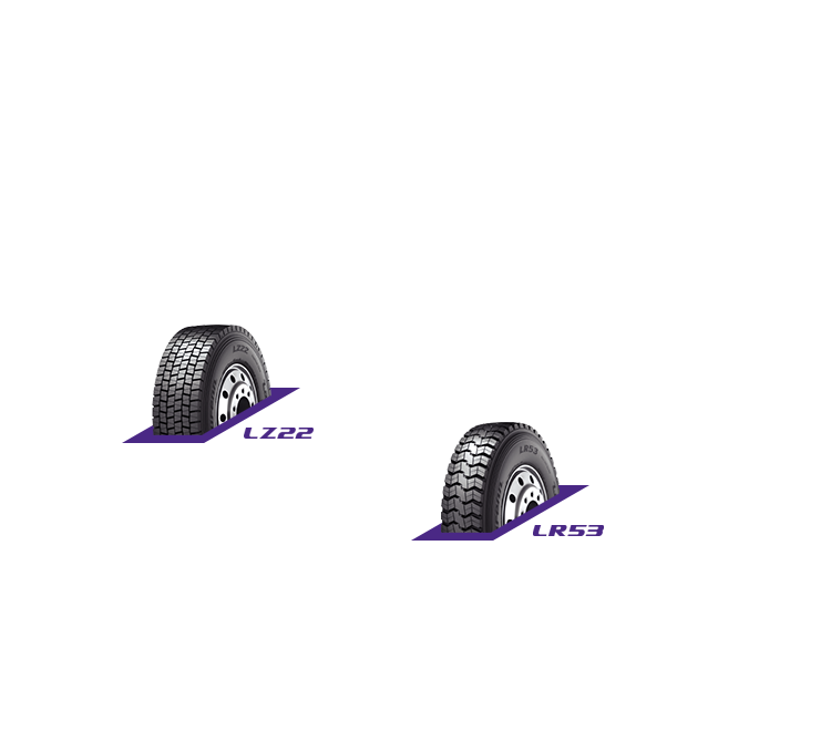 Drive Axle LZ22, LR53