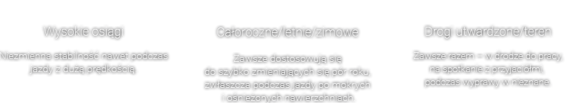 Wysokie osiągi - Niezmienna stabilność nawet podczas jazdy z dużą prędkością. , Całoroczne/letnie/zimowe - Zawsze dostosowują się do szybko zmieniających się pór roku, zwłaszcza podczas jazdy po mokrych i ośnieżonych nawierzchniach. , Drogi utwardzone/teren - Zawsze razem – w drodze do pracy, na spotkanie z przyjaciółmi, podczas wyprawy w nieznane.