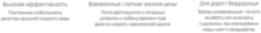 Высокая эффективность - постоянная стабильность даже при высокой скорости езды, Всесезонные / летние/ зимние шины - Легко адаптируются к погодным условиям и любому времени года даже на мокрой и заснеженной дороге., Для  дорог/ бездорожья - Всегда универсальные - по пути на работу или на встречу с друзьями, при исследовании новых мест и ландшафтов.