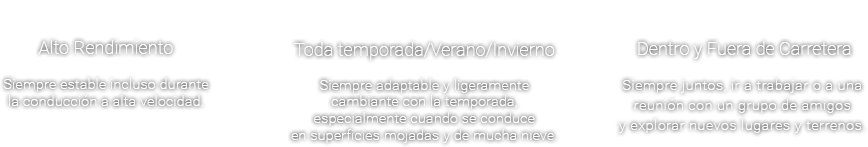 Alto Rendimiento - Siempre estable incluso durante la conducción a alta velocidad. , Toda temporada/Verano/Invierno - Siempre adaptable y ligeramente cambiante con la temporada, especialmente cuando se conduce en superficies mojadas y de mucha nieve. , Dentro y Fuera de Carretera - Siempre juntos, ir a trabajar o con una reunión con un grupo de amigos y explorar nuevos lugares y terrenos.