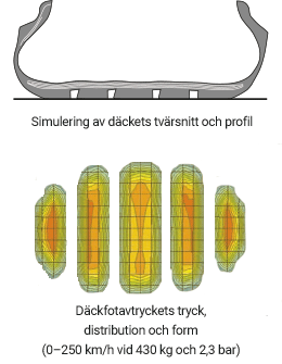 txt_tier4_detail_01